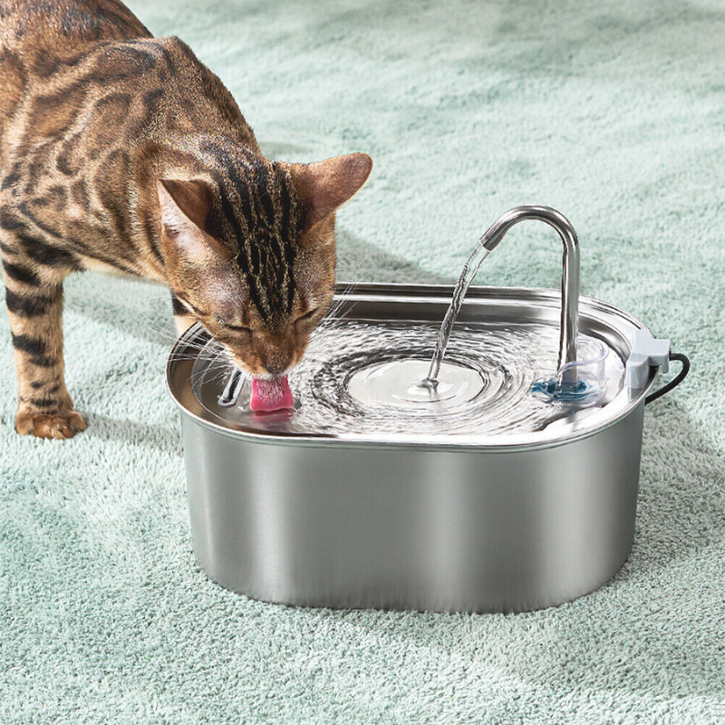 Nylatails® Wellness Water Fountain (BPA Free)