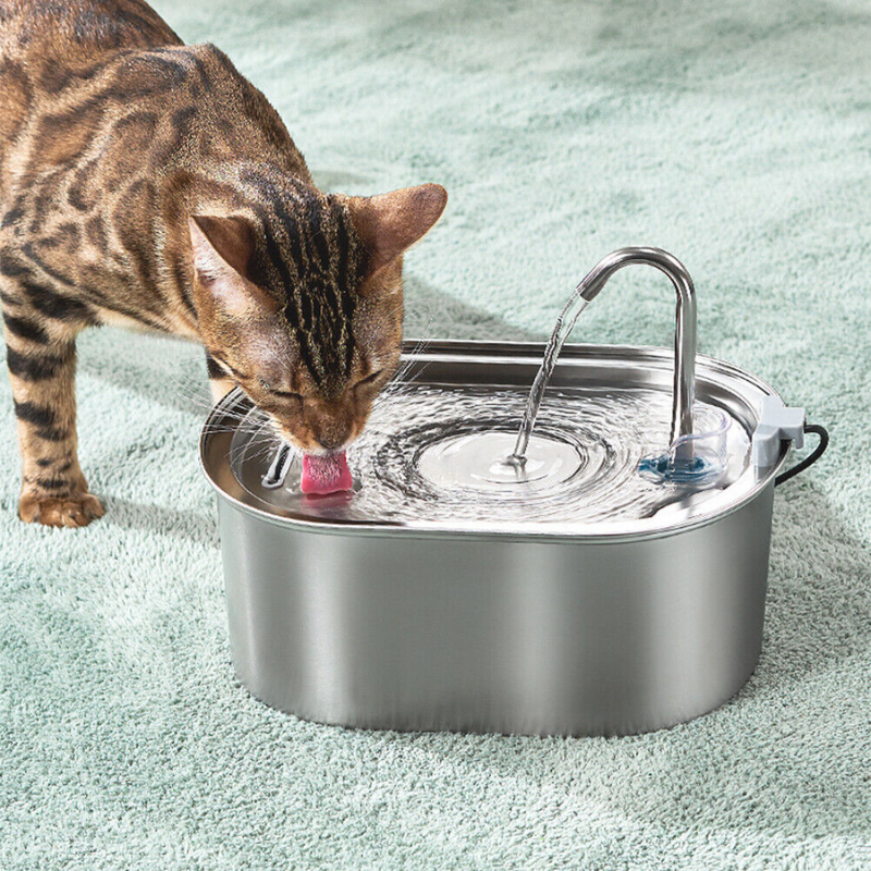 Nylatails® Wellness Water Fountain